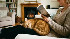 Questi 4 tipi di persone sono riconosciuti dai gatti come propri. Gli altri sono semplicemente personale di servizio.