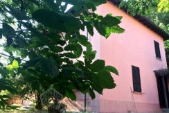 IMG_3864 - Copia (FILEminimizer)